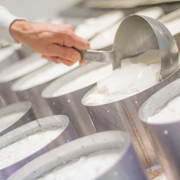 FROMAGERIE REGAL-04