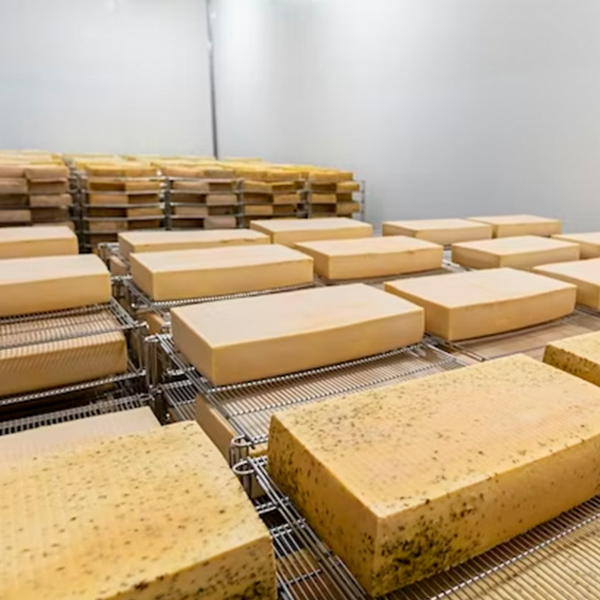 TERRE DE FROMAGES-02