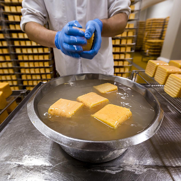 TERRE DE FROMAGES-03