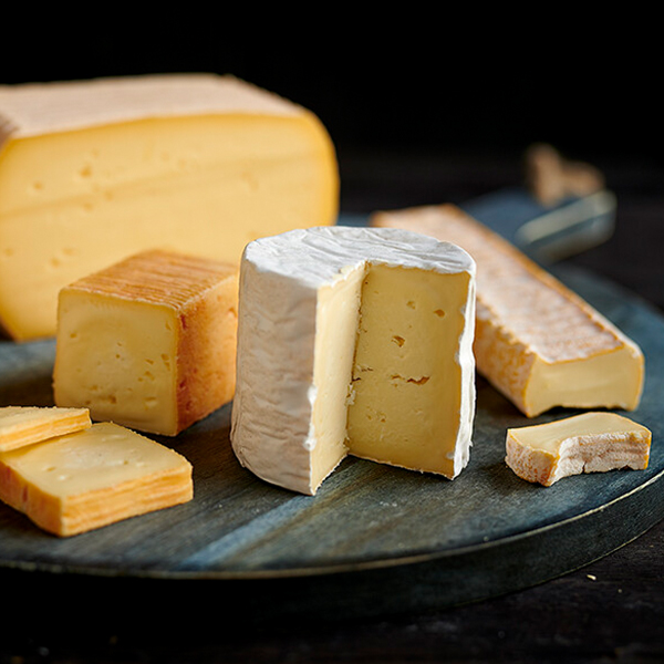 TERRE DE FROMAGES-05